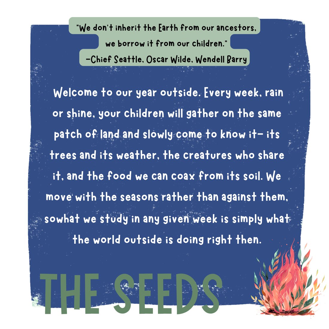 The Seeds: Welcome to our year outside. Every week, rain or shine, children gather on the same patch of land and come to know it — its trees and weather, the creatures who share it, and the food we can coax from its soil — moving with the seasons rather than against them.