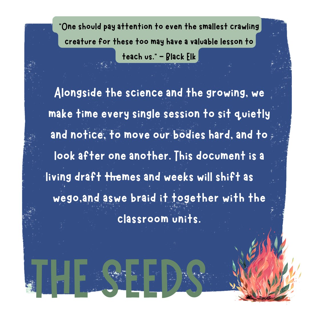 The Seeds: Alongside the science and the growing, we make time every session to sit quietly and notice, move our bodies hard, and look after one another. A living draft that braids together with the classroom units. Quote from Black Elk about paying attention to even the smallest creature.
